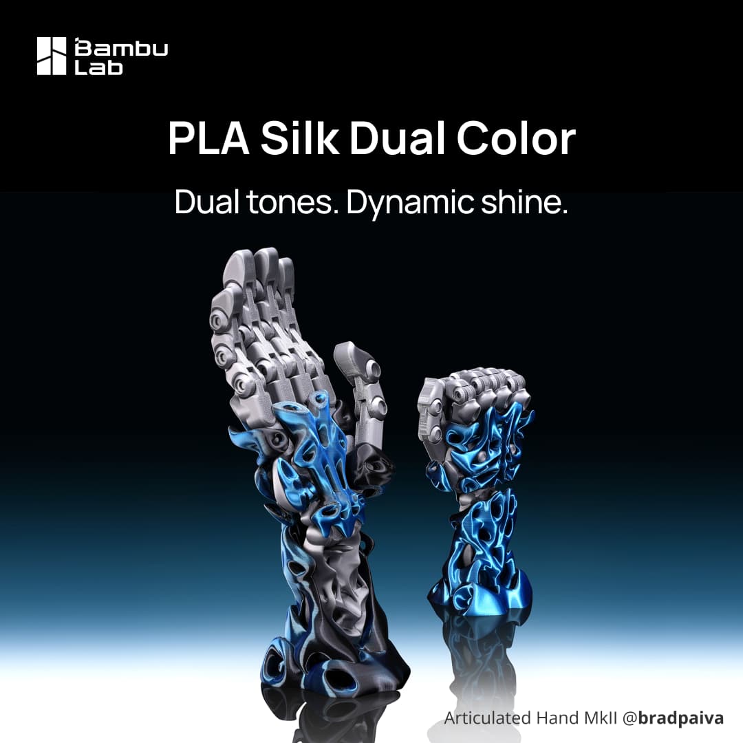 Bambu Lab PLA Silk dual colours